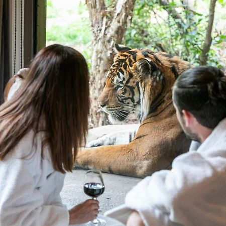 Big Cat Bungalows At The Haven - Lion 2 Canastota Екстериор снимка