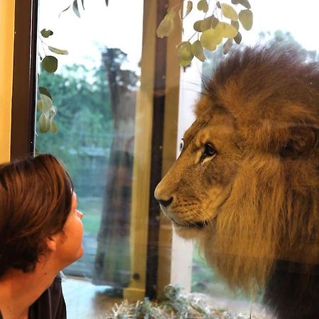 Big Cat Bungalows At The Haven - Lion 2 Canastota Екстериор снимка