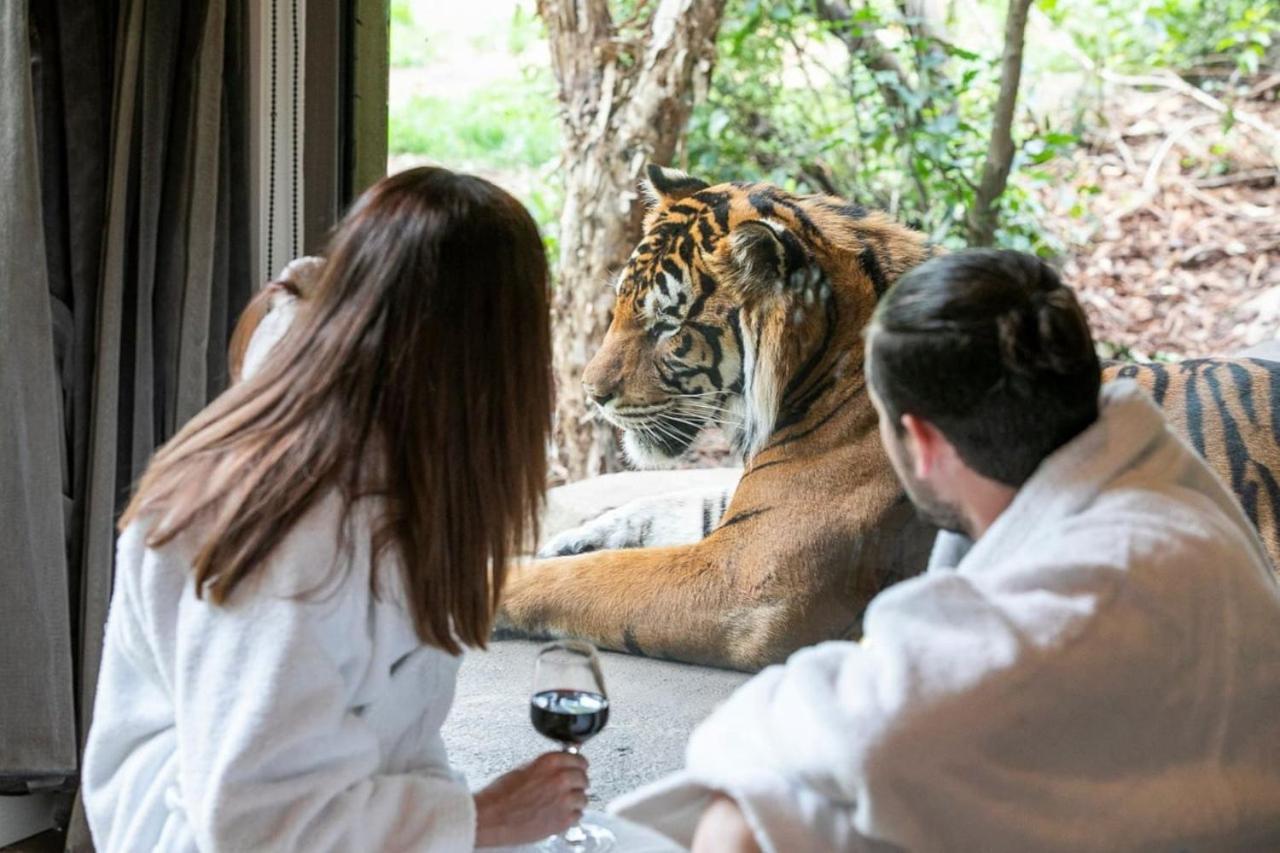 Big Cat Bungalows At The Haven - Lion 2 Canastota Екстериор снимка